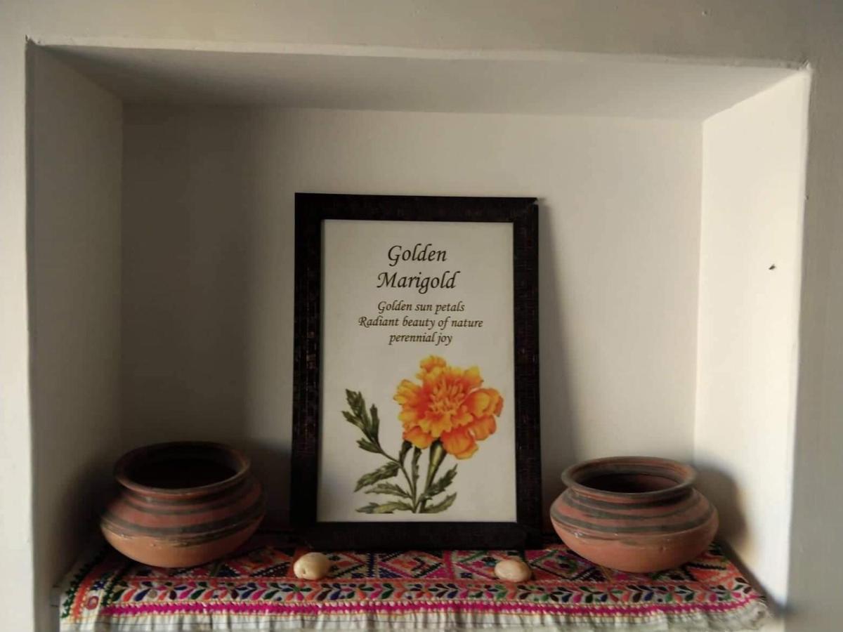 Golden Marigold Hotel Джайсалмер Экстерьер фото